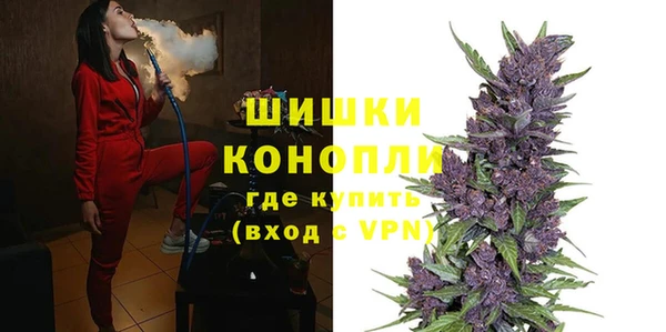шишки Алексеевка