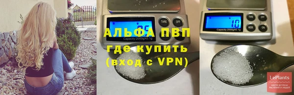 jwh Пересвет