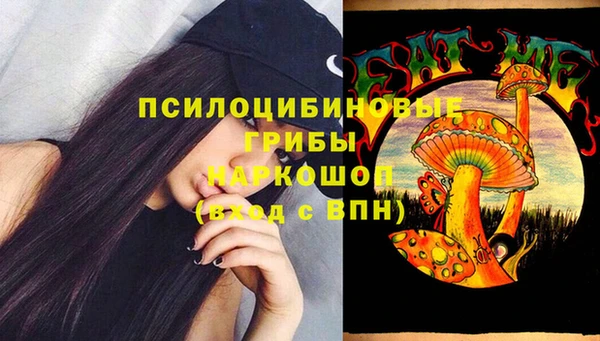 ECSTASY Алзамай