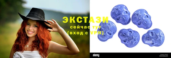 ECSTASY Алзамай