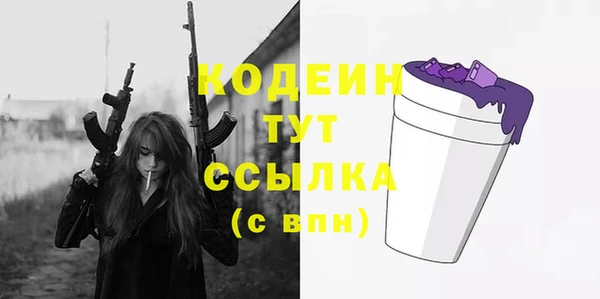 ECSTASY Алзамай