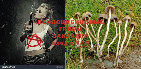 ECSTASY Алзамай