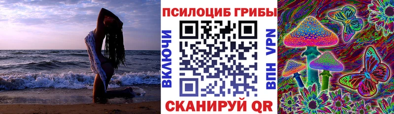 МЕГА зеркало  Боготол  Псилоцибиновые грибы мухоморы 